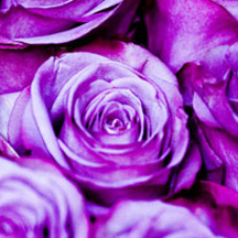 充值平台快速的自动攻击网站工具下载